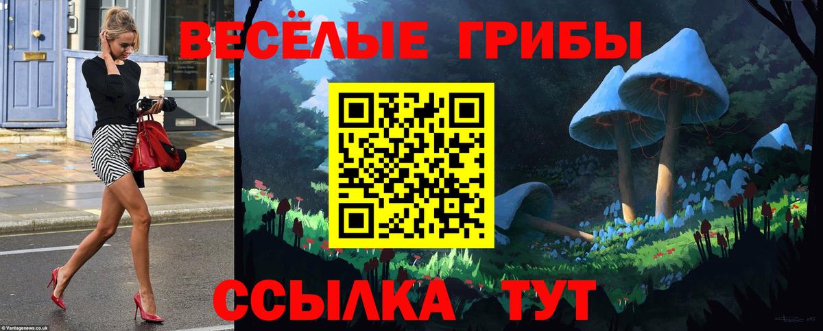 Галлюциногенные грибы мухоморы  Вход с VPN  Рузаевка 